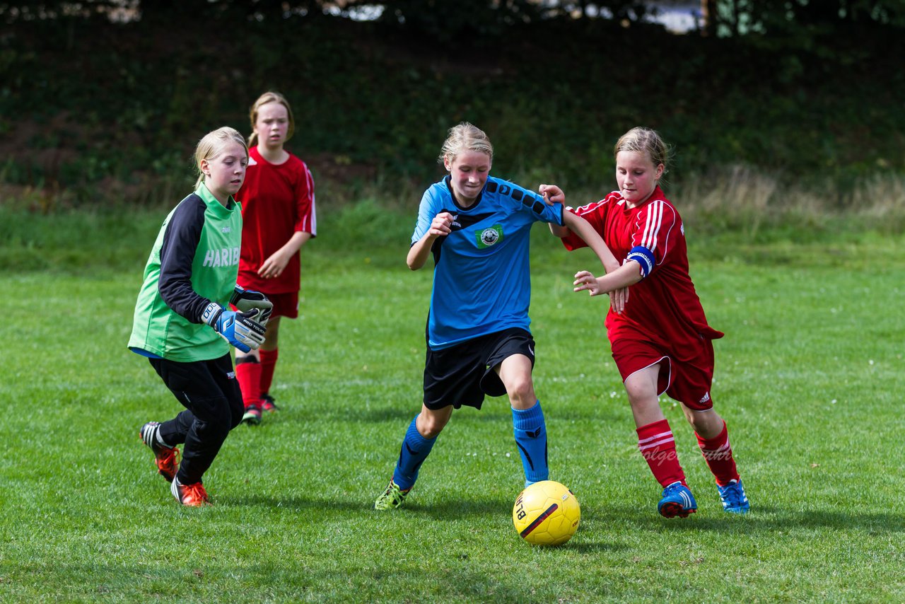 Bild 99 - D-Juniorinnen MTSV Neumnster - Ratzeburger SV : Ergebnis: 4:3